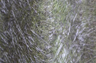 Fockerby fibreglass roof work