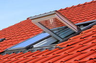 Fockerby roof window